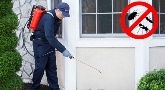 Saimbeyli Bit İlaçlama böcek ilaçlama ve haşere kontrolü — ilaclama-tr.com